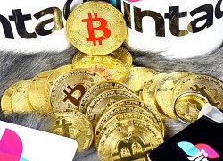 Giá Bitcoin hôm nay 23/11: Bitcoin mất mốc 16.000 USD, nguy cơ 'vỡ trận'