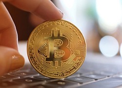 Giá Bitcoin hôm nay 24/11: Bitcoin khởi sắc sau khi rơi xuống 'đáy'