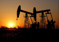 Giá xăng dầu hôm nay 24/11: Đột ngột lao dốc, dầu WTI xuống 78 USD/thùng