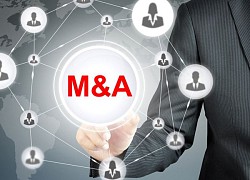 Giao dịch M&A của Việt Nam đạt gần 6 tỷ USD trong 10 tháng