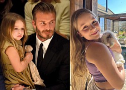 Harper Beckham &#8211; Công chúa nhà Beckham bộc lộ nhiều tài năng đặc biệt, thừa hưởng từ cả cha và mẹ