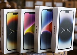 iPhone 14 lại giảm giá