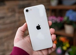 Chiếc iPhone thất bại nhất của Apple tại Việt Nam