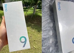 Thông số camera OPPO Reno 9 Series chính thức được xác nhận