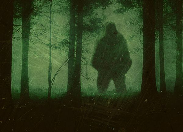 Tuyên bố 'sốc': Quái vật Bigfoot có thật, đang lang thang ở Bắc Mỹ?