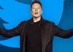 Twitter của Elon Musk sắp đối đầu Apple, Google