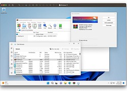 VMWare Fusion 13 chính thức có mặt trên MacOS: Hỗ trợ cài đặt Windows 11 ARM 22H2, chip bảo mật ảo vTPM 2.0