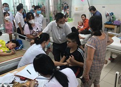 Vụ ngộ độc thực phẩm tại Trường iSchool Nha Trang: Khởi tố vụ án hình sự 'Vi phạm quy định về an toàn thực phẩm'