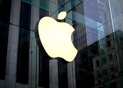 Đầu năm 2023: Apple sẽ ra mắt sản phẩm rất đặc biệt?