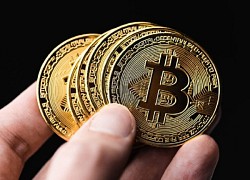 Giá Bitcoin hôm nay 25/11: Tiếp tục khởi sắc