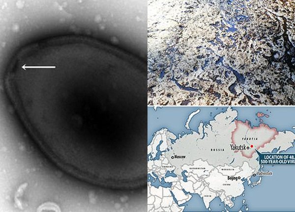 Hồi sinh virus cổ đại 48.500 năm tuổi