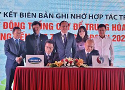 Hợp tác trồng cây để bảo vệ môi trường, nỗ lực thực hiện cam kết của Việt Nam tại COP26