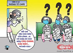 Lại thêm một luận án... tiến sĩ cầu lông