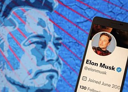 Elon Musk sẽ "ân xá" cho những tài khoản bị đình chỉ trên Twitter