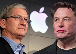 Elon Musk và Tim Cook 'bắt tay giảng hòa'