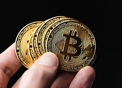 Giá Bitcoin ngày 1/12: Các tiền ảo sẽ bước vào chu kỳ tăng trưởng mới?