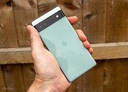 Google Pixel 7a cho thấy, thiết bị sẽ trông giống Google Pixel 6a