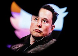 Nội dung thù địch tăng mạnh sau khi Elon Musk tiếp quản Twitter