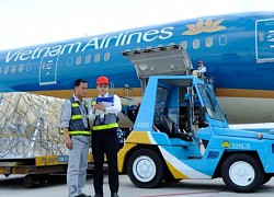 Saigon Cargo Services (SCS) sắp trả cổ tức 2.500 đồng/cp