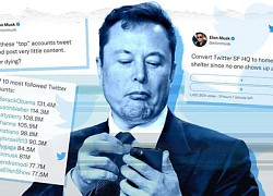 Twitter tăng trưởng sau một tháng về tay Elon Musk