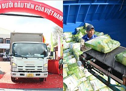 Các hiệp định thương mại tự do thúc đẩy xuất khẩu hàng hóa Việt Nam