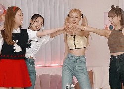 Những điều bí ẩn về BLACKPINK khiến người hâm mộ tò mò