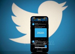 Twitter hoạt động trở lại sau sự cố sập mạng