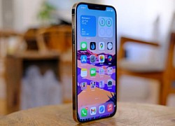 iPhone 12 Pro Max Cũ Được Săn Đón Cho Dịp Cuối Năm