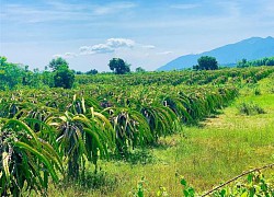 Khám phá vẻ đẹp hồ chứa nước Sông Biêu, Ninh Thuận