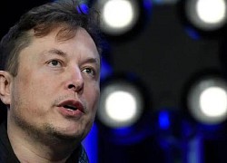 Musk thừa nhận khóa nhầm nhiều tài khoản Twitter