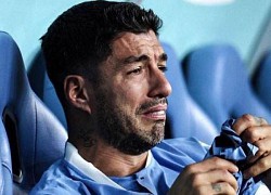 Suarez tố bị FIFA đối xử bất công