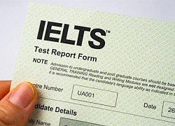 Tâm lý thích chọn giáo viên có IELTS cho con học tiếng Anh