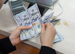 Tỷ giá USD hôm nay 4/12: Đô la Mỹ phiên cuối tuần giảm nhẹ