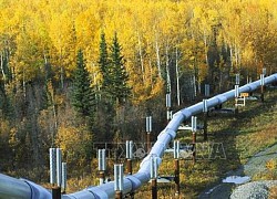 Canada: Tạm ngừng vận hành đường ống Keystone do sự cố rò rỉ dầu