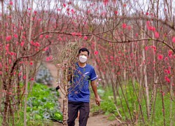 Hà Nội nghiêm cấm biếu, tặng quà Tết lãnh đạo