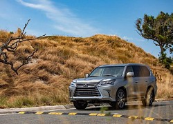 Lexus LX 600 đồng hành bền bỉ cùng doanh nhân nơi thương trường