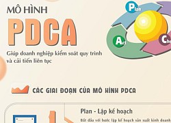 Mô hình PDCA -'Chìa khóa' giúp doanh nghiệp cải tiến liên tục