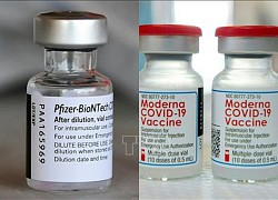 Pfizer/BioNTech 'kiện ngược' Moderna về bản quyền vaccine phòng COVID-19