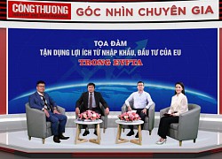 Tận dụng EVFTA, đẩy mạnh thu hút từ EU