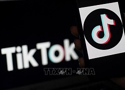 TikTok bị 'cấm cửa' tại nhiều bang của Mỹ do lo ngại về an ninh mạng