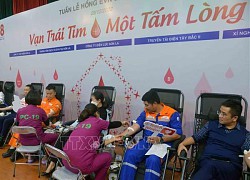 Vạn trái tim chung một tấm lòng