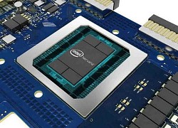 'Canh bạc thế kỷ' của Intel