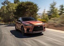 Cập nhật bảng giá xe hãng Lexus mới nhất tháng 12/2022