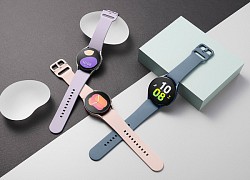 Galaxy Watch5 và Galaxy Watch4 của Samsung nhận bản cập nhật mới