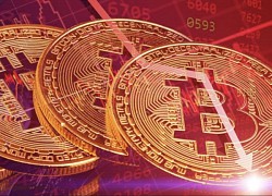 Giá Bitcoin hôm nay 12/12: Bitcoin tăng nhẹ