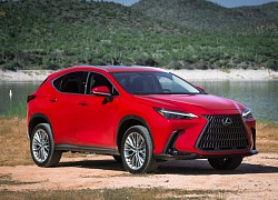 Lexus trải qua năm 2022 đầy khó khăn