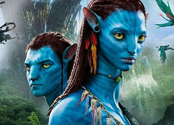 Nhân viên VFX của "Avatar 2" bức xúc vì bị lạm dụng sức lao động