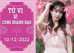 Tử vi 12 cung hoàng đạo ngày 10/12: Thiên Bình chớ tự cao, Kim Ngưu gặp quý nhân