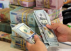 Tỷ giá USD hôm nay 12/12: Vẫn đứng ở ngưỡng thấp