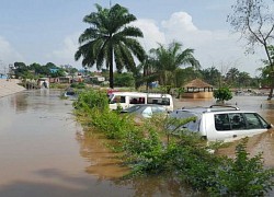 Lũ lụt ở Kinshasa làm 9 người trong một gia đình tử vong